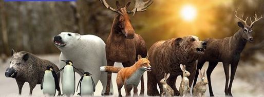 animalesaalvvvjj